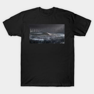 Winter in Central Park T-Shirt